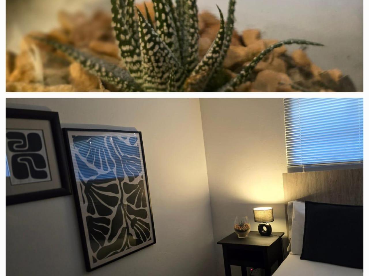 The Lantern Guesthouse بلومفونتين المظهر الخارجي الصورة